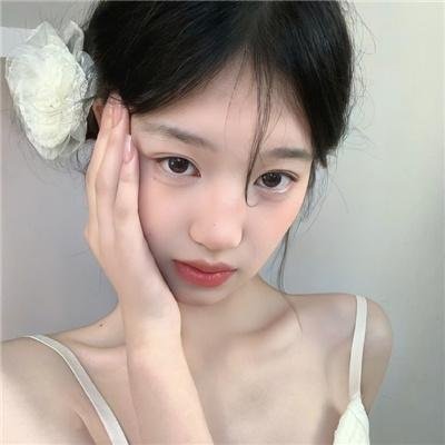 功能失常的猫