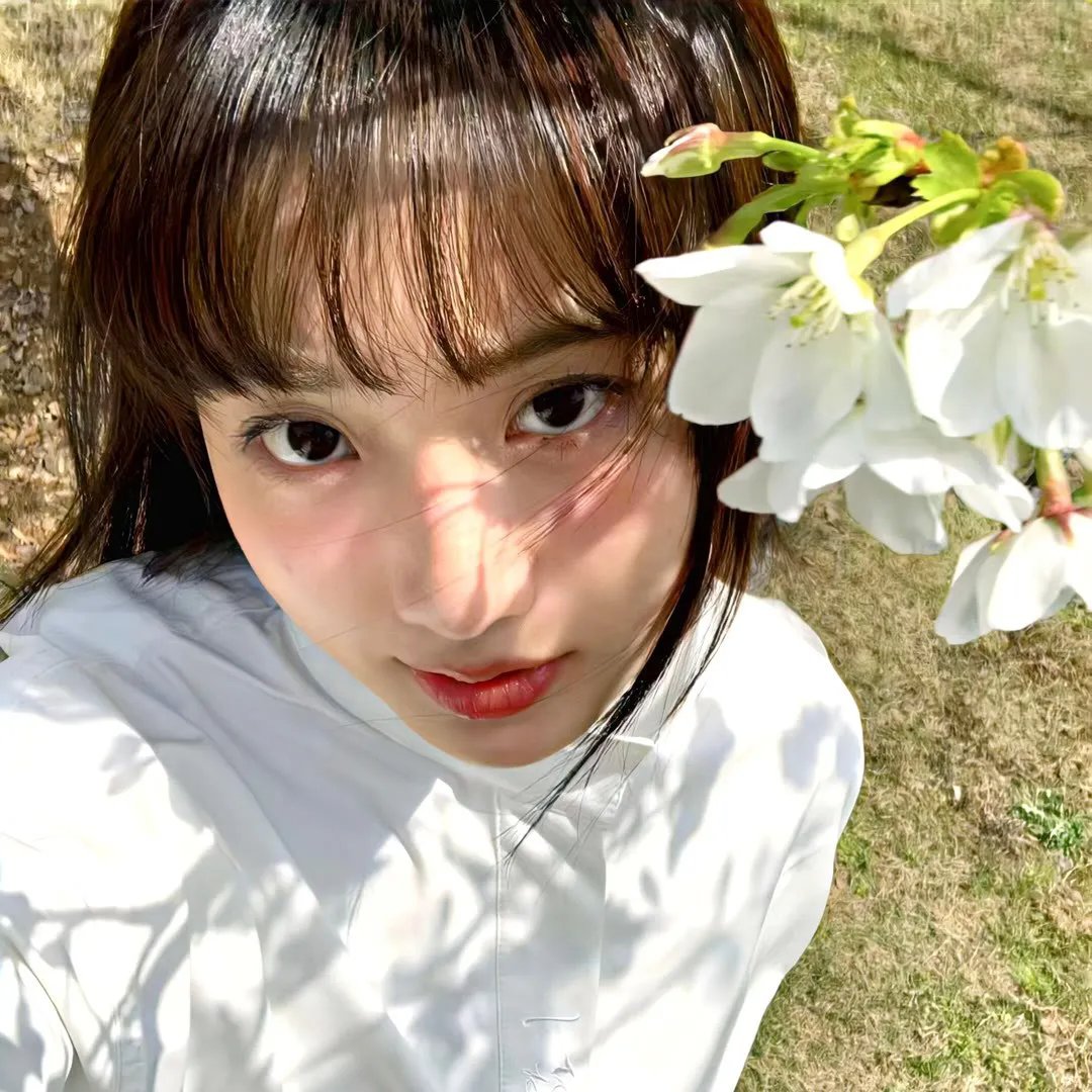 春归